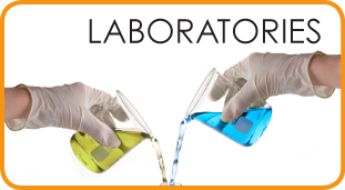 Lab Gloves