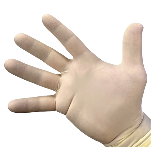 Cranberry Silkcare Latex Powder Free Exam Gloves | On a Hand