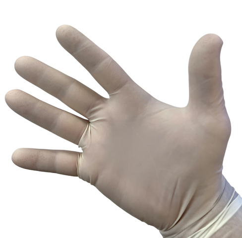 Blossom Latex Powder Free Exam Gloves on a Hand