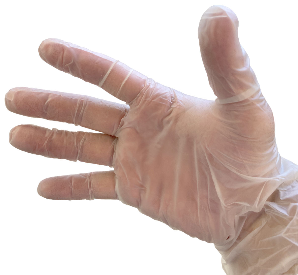 Blossom Powder-Free Vinyl Exam Gloves on a hand