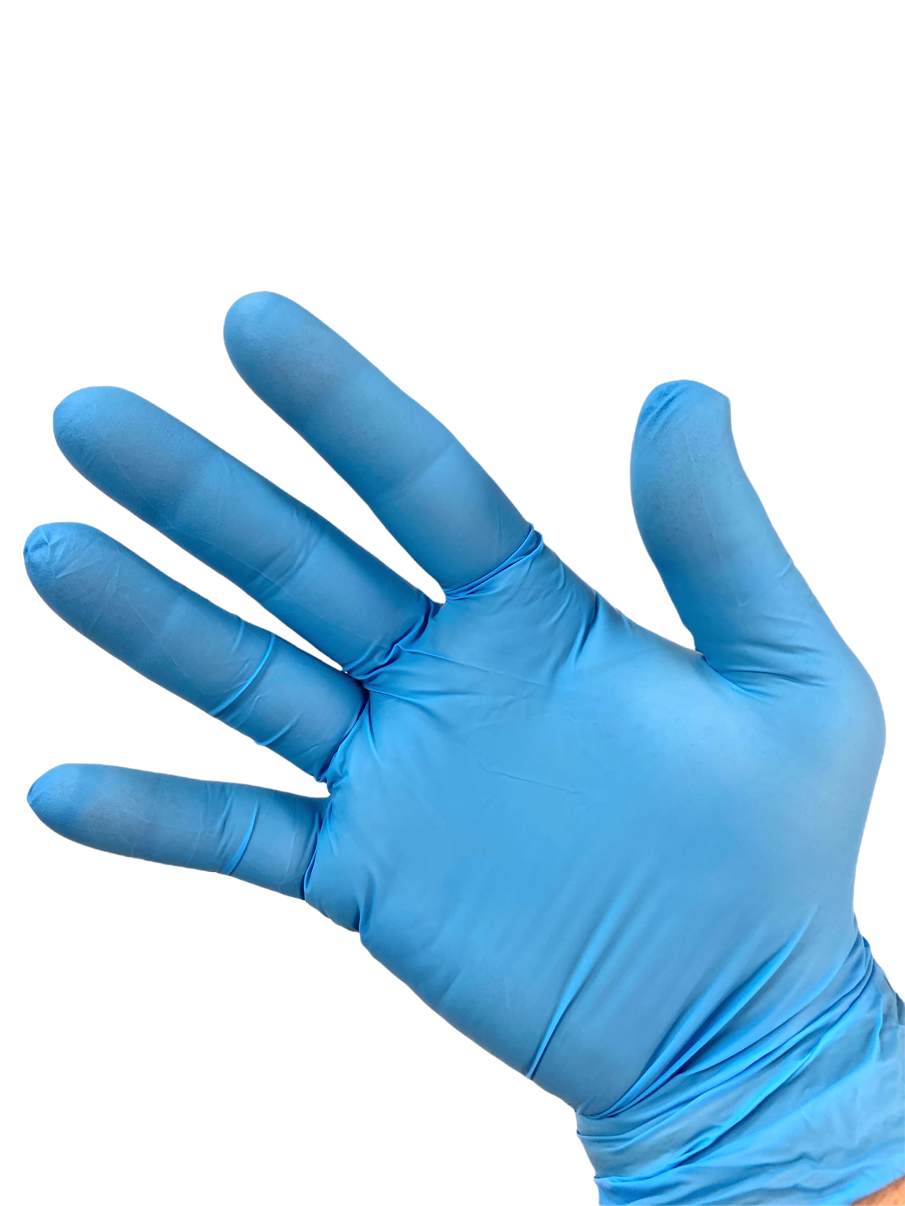 glovepak laguna nitrile gloves on hand